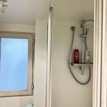 Tiny Elephant Mini In Apartment Rome