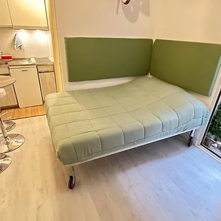 Tiny Elephant Mini In Apartment *