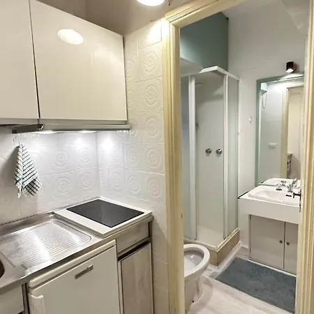 Tiny Elephant Mini In *