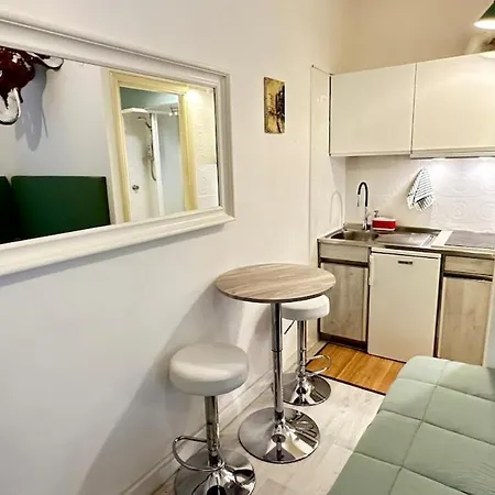 Tiny Elephant Mini In Apartman *