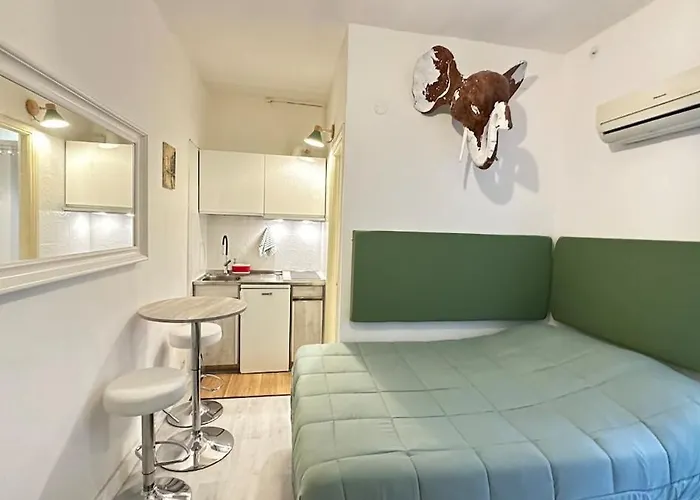 Appartamento Tiny Elephant Mini In *