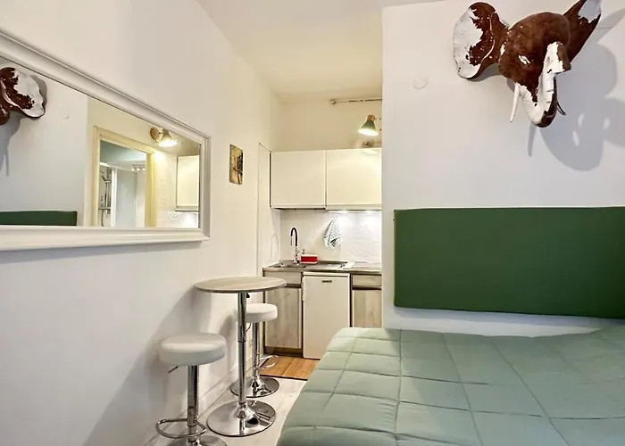 Tiny Elephant Mini In *