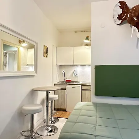 Tiny Elephant Mini In *