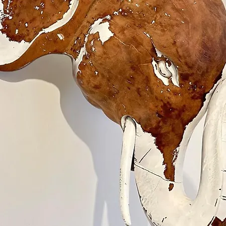 Tiny Elephant Mini In شقة